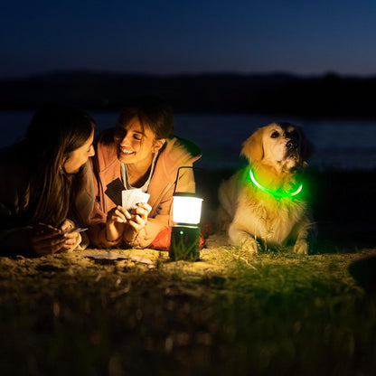 LED Dog Collar - USB Rechargeable Light up Dog Collars Glow in the Dark - Waterproof LED Dog Necklace Light for Night Walking (Green)